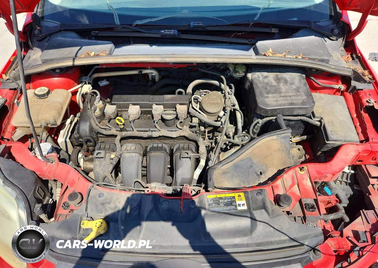 2013 Ford Focus Se VIN:1FADP3F2XDL205214 - 11