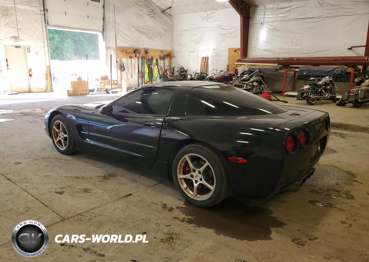 1998 Chevrolet Corvette VIN:1G1YY22G0W5126249 - 2