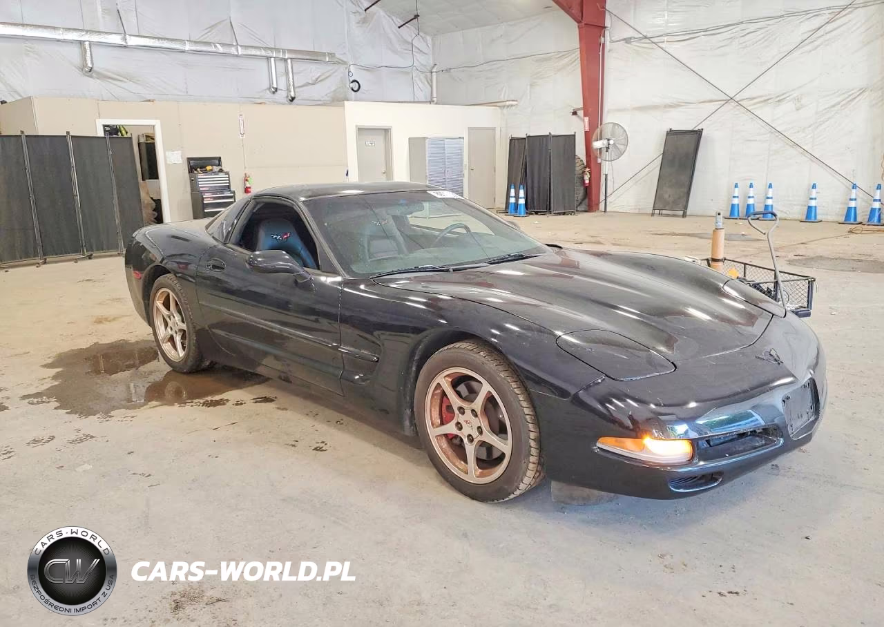1998 Chevrolet Corvette VIN:1G1YY22G0W5126249 - 4