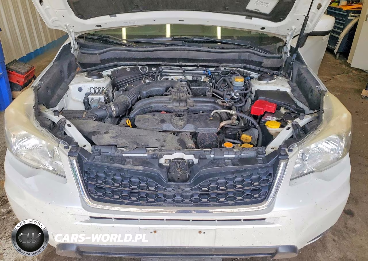 2014 Subaru Forester 2.5I Premium VIN:JF2SJAEC0EH426019 - 12