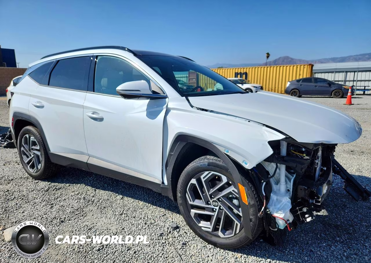 2025 Hyundai Tucson Limited VIN:KM8JEDD15SU381240 - 4