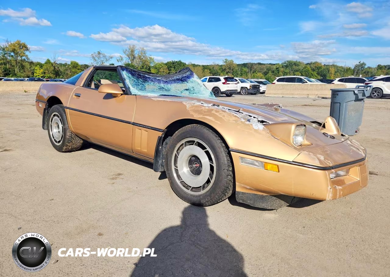 1985 Chevrolet Corvette VIN:1G1YY078XF5107097 - 4