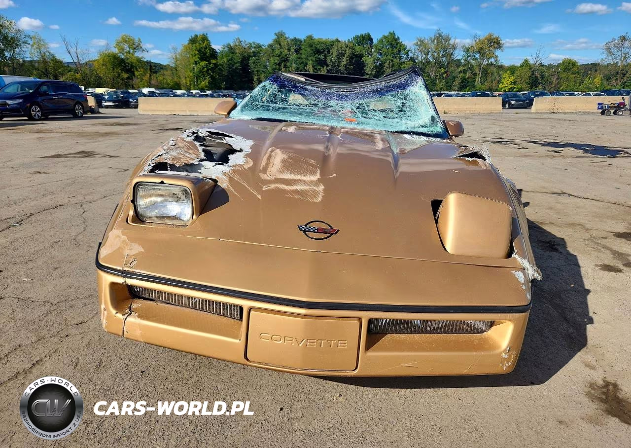 1985 Chevrolet Corvette VIN:1G1YY078XF5107097 - 5