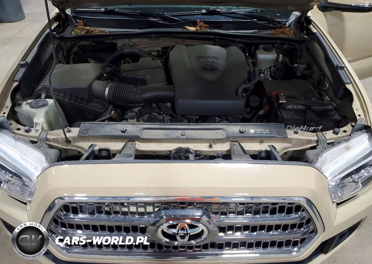 2017 Toyota Tacoma Trd Off-Road VIN:5TFCZ5AN7HX066798 - 11