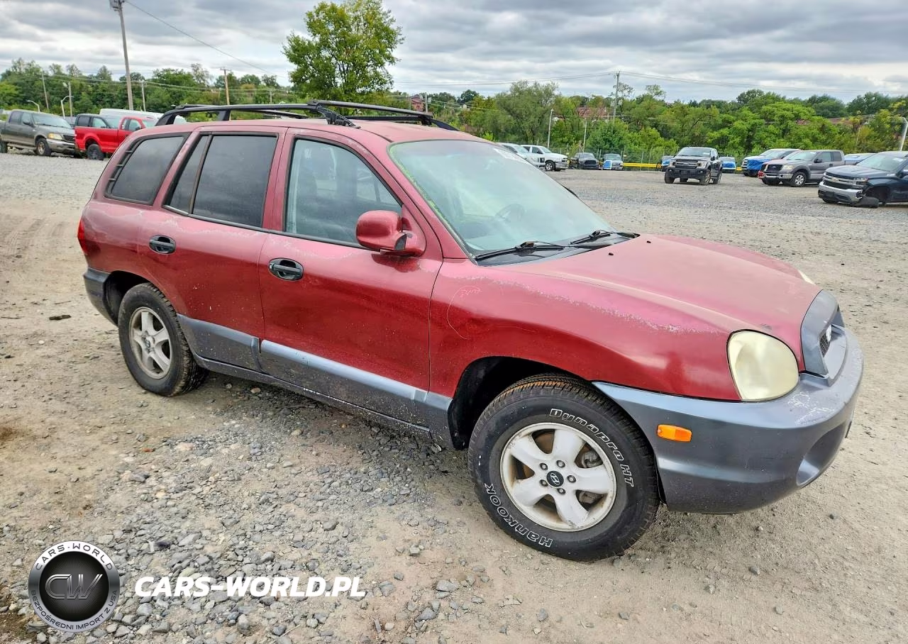 2004 Hyundai Santa Fe Gls VIN:KM8SC73E24U699609 - 4