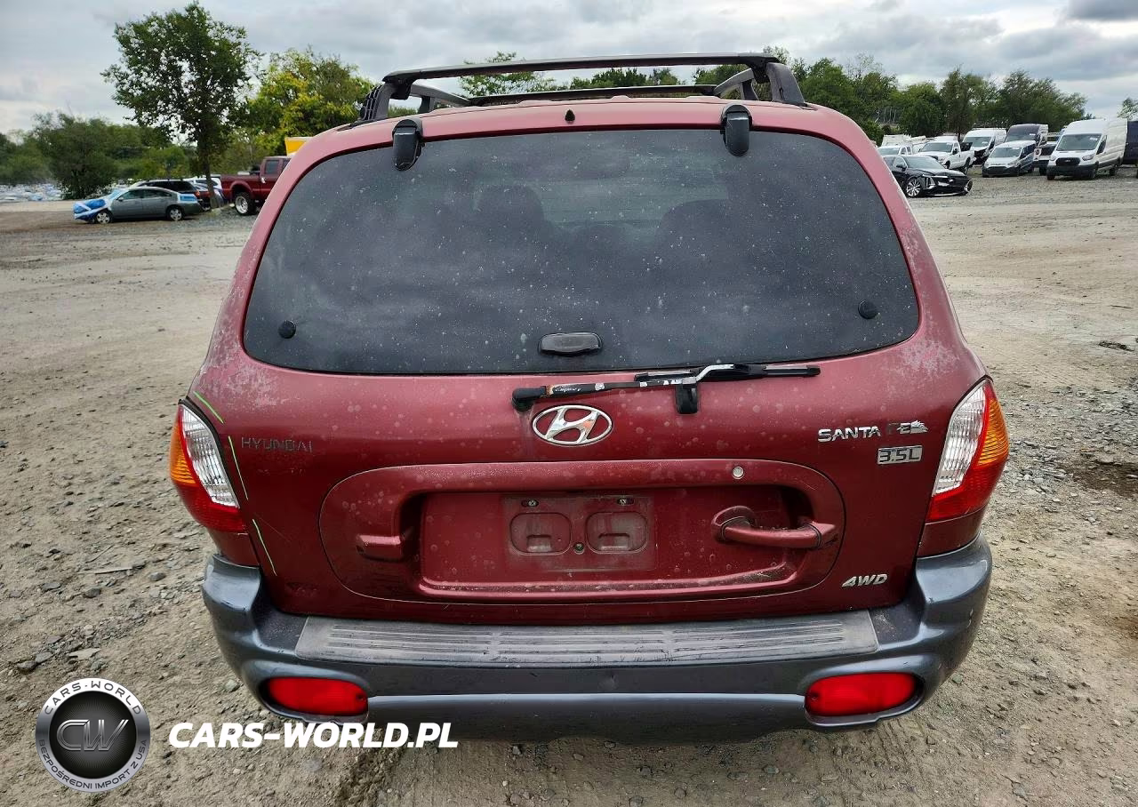2004 Hyundai Santa Fe Gls VIN:KM8SC73E24U699609 - 6
