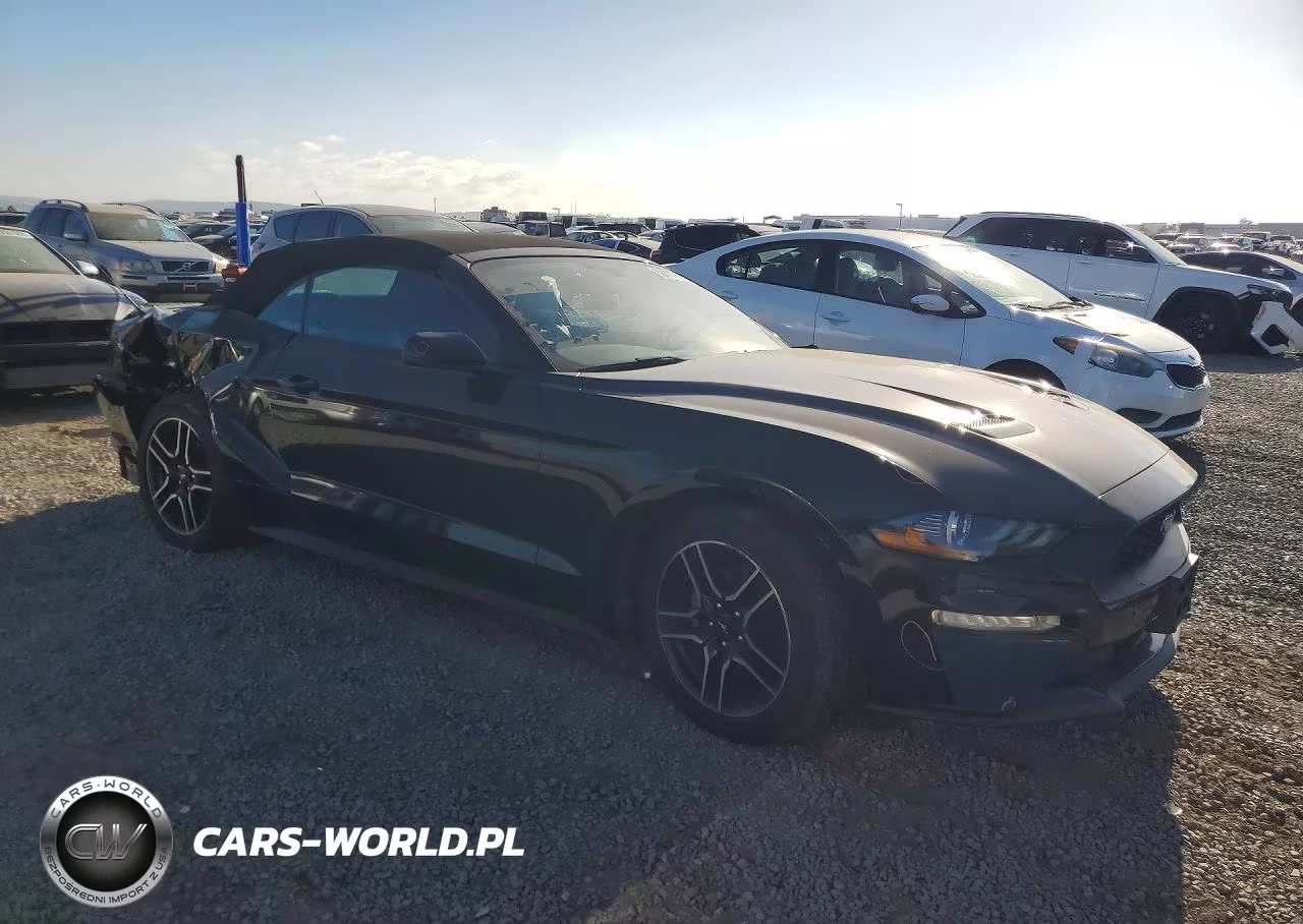 2020 Ford Mustang VIN:1FATP8UH0L5135046 - 4