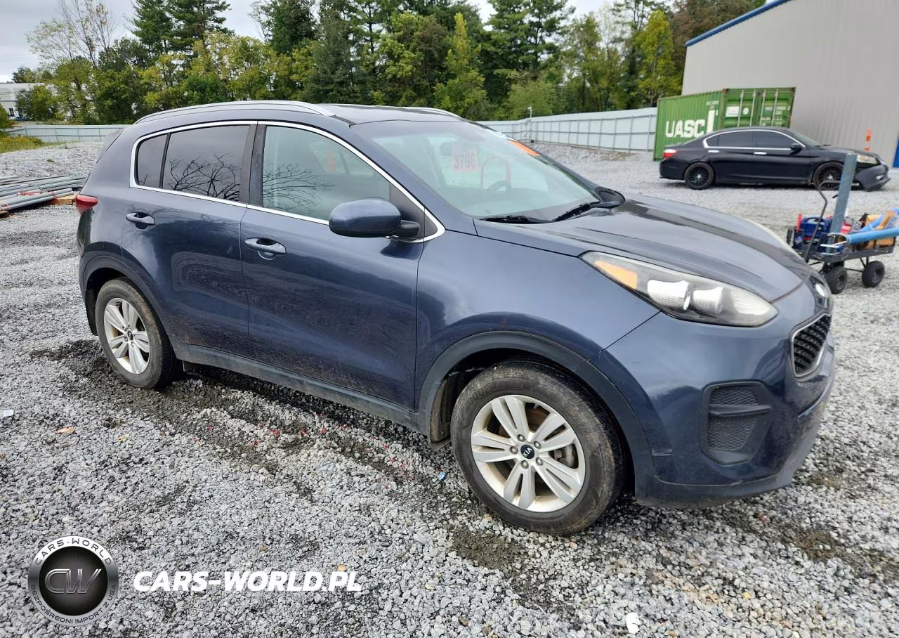2019 Kia Sportage Lx VIN:KNDPM3AC9K7548537 - 4