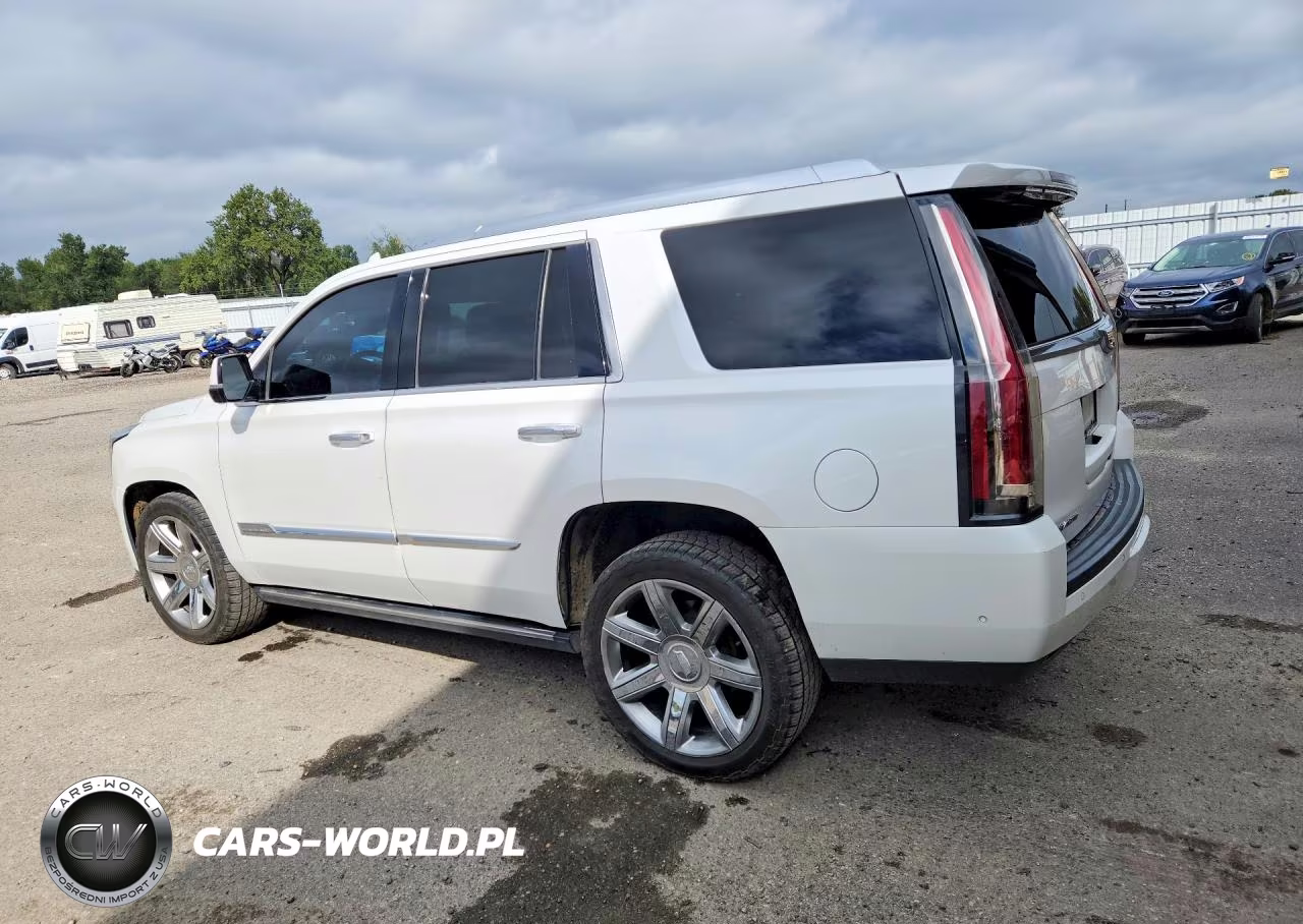 2017 Cadillac Escalade VIN:1GYS4CKJXHR366781 - 2