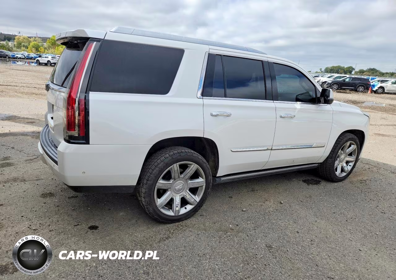 2017 Cadillac Escalade VIN:1GYS4CKJXHR366781 - 3