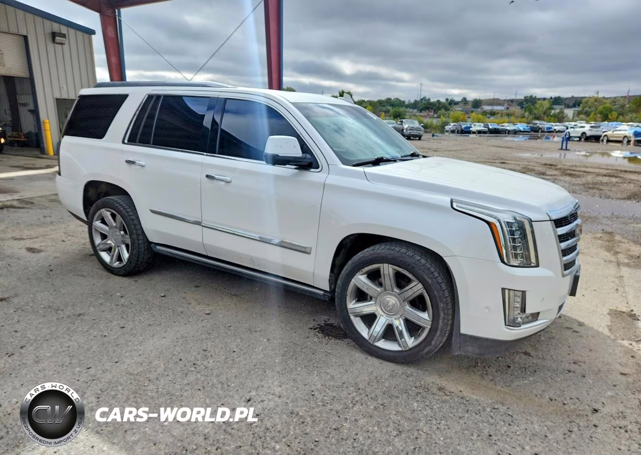 2017 Cadillac Escalade VIN:1GYS4CKJXHR366781 - 4