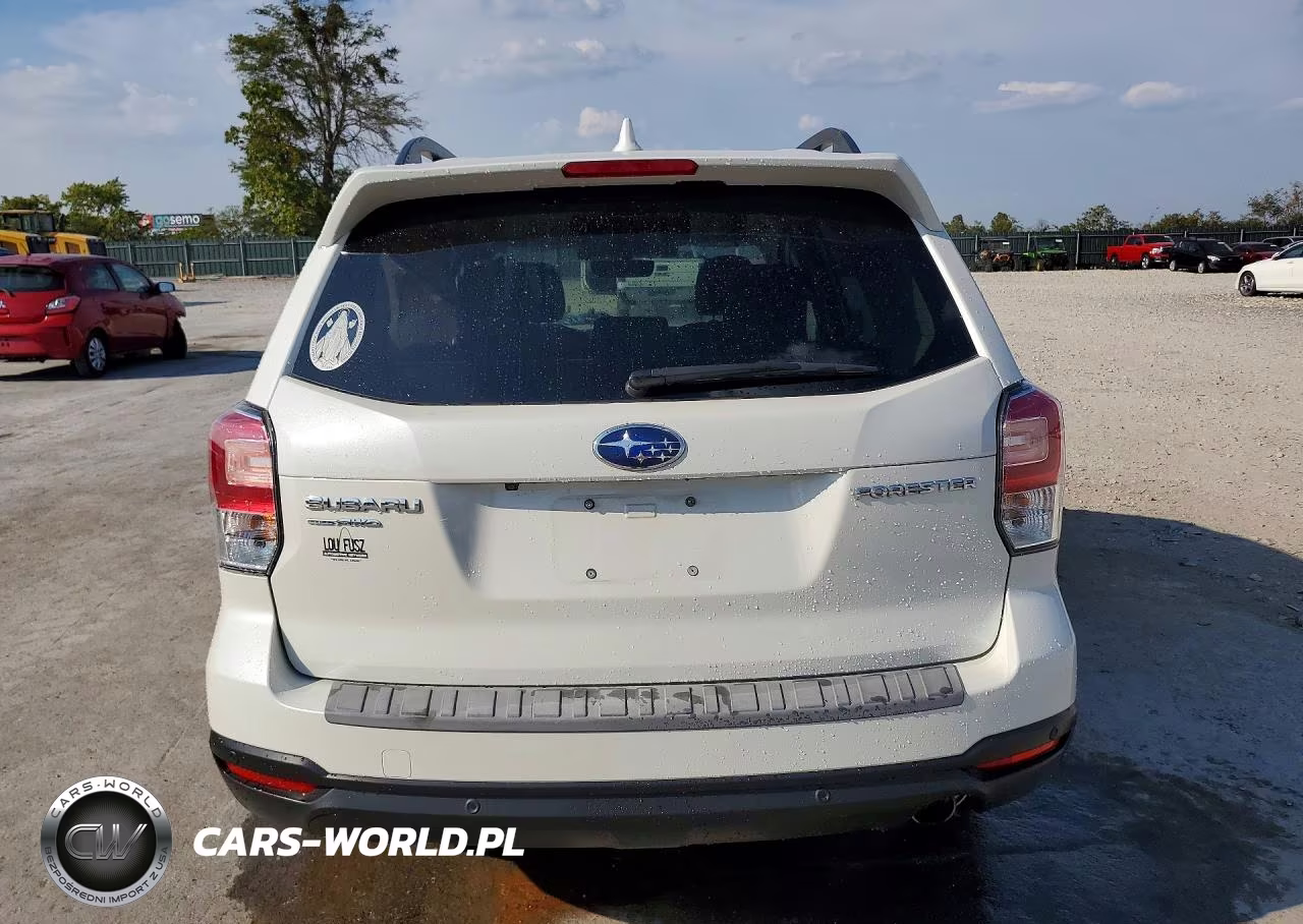2018 Subaru Forester 2.5I Touring VIN:JF2SJAWC1JH442156 - 6