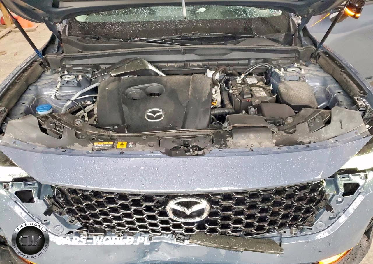 2024 Mazda Cx-50 Premium Plus VIN:7MMVABEM5RN161583 - 12