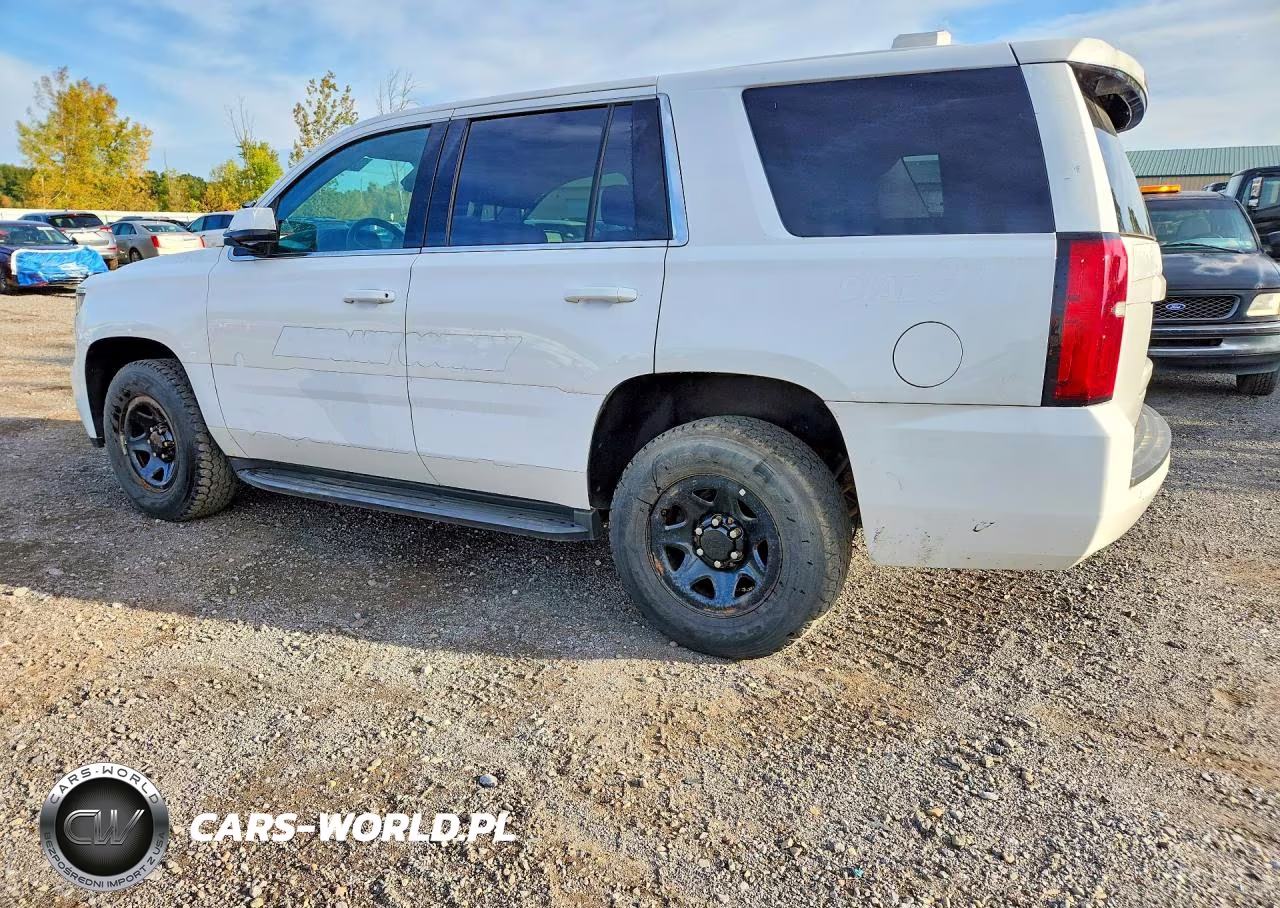 2020 Chevrolet Tahoe Police VIN:1GNSKDEC4LR250801 - 2