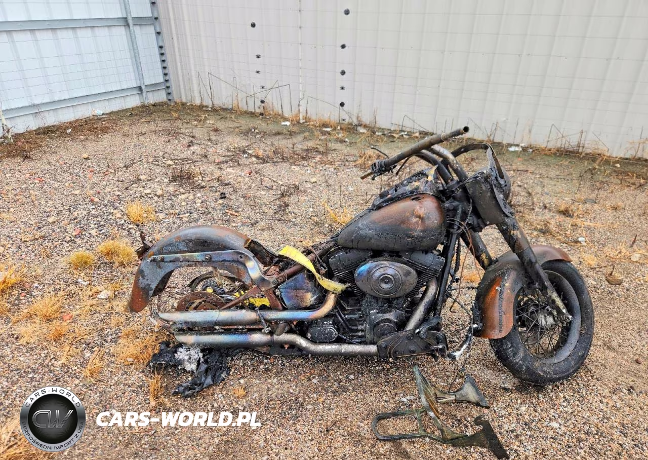 2006 Harley-Davidson Flstfi