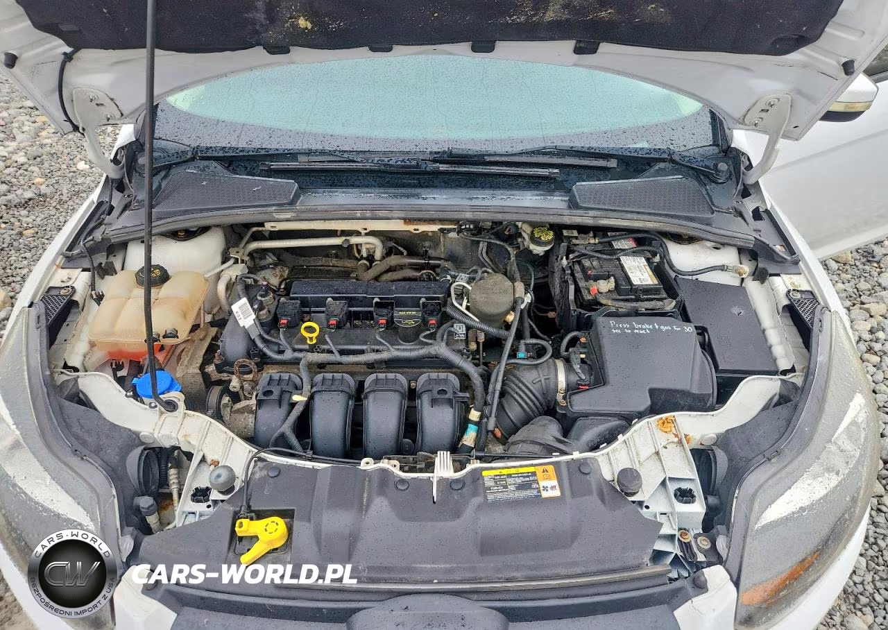 2014 Ford Focus Se VIN:1FADP3F28EL142759 - 11