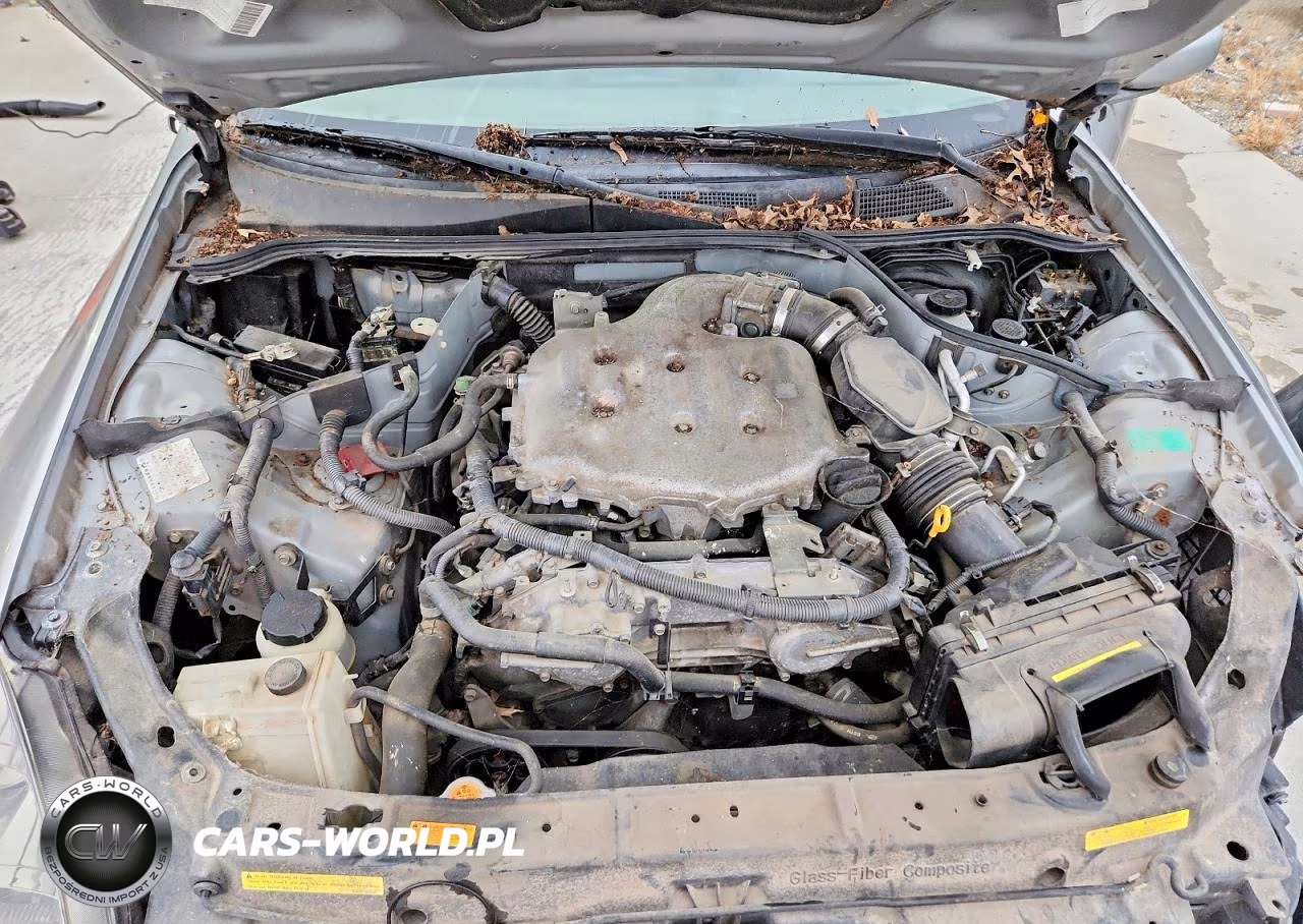 2004 Infiniti G35 Base VIN:JNKCV54E34M302560 - 11