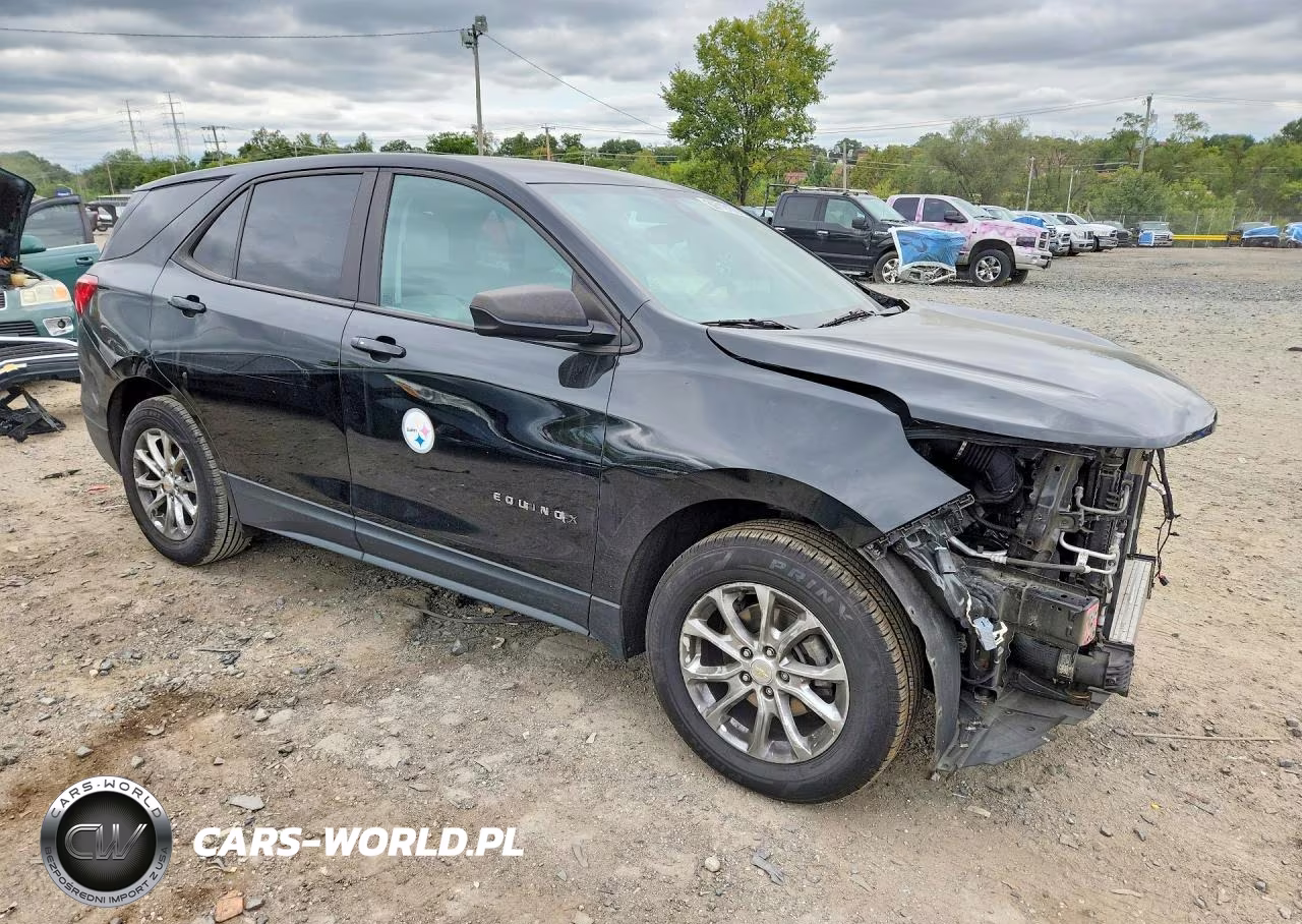 2020 Chevrolet Equinox Ls VIN:2GNAXHEV4L6204709 - 4
