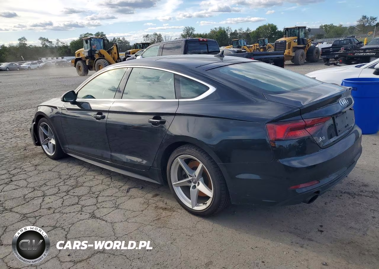 2019 Audi A5 Premium Plus S-Line VIN:WAUENCF56KA023384 - 2