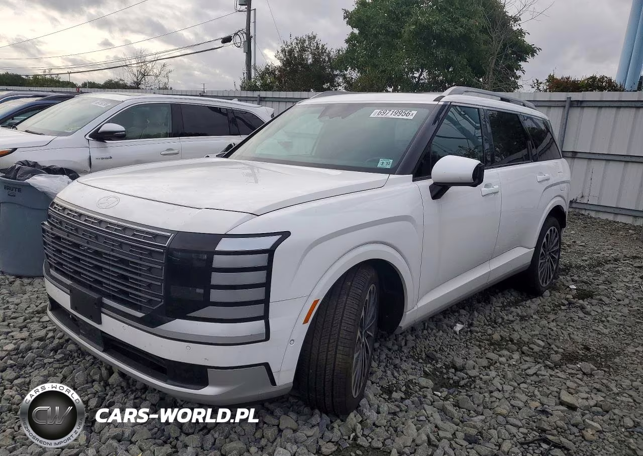 2026 Hyundai Palisade Calligraphy VIN:KM8RMES2XTU072260 - 1