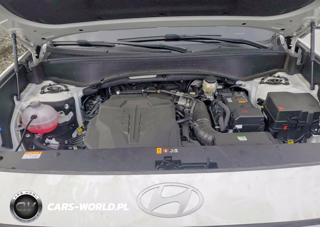 2026 Hyundai Palisade Calligraphy VIN:KM8RMES2XTU072260 - 12