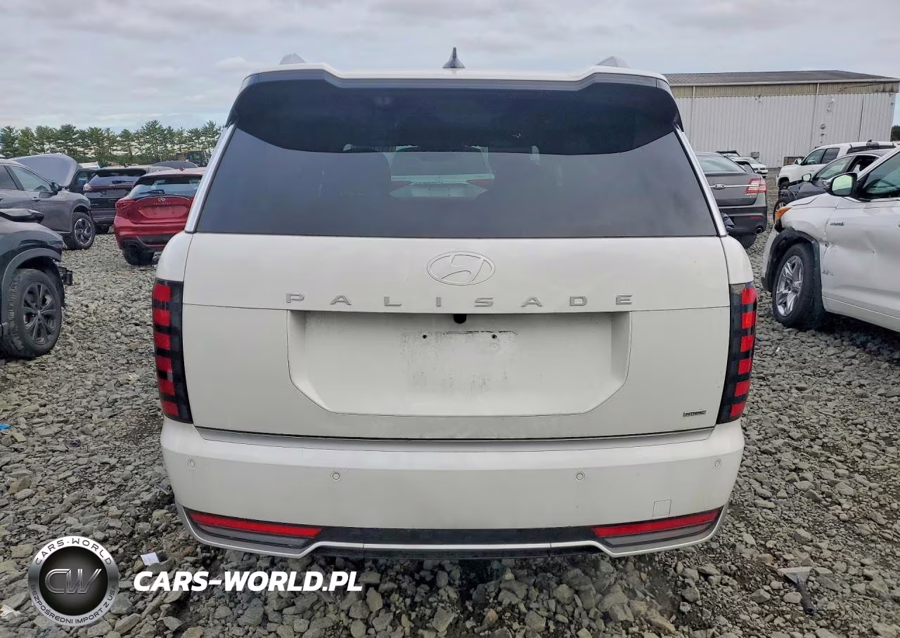 2026 Hyundai Palisade Calligraphy VIN:KM8RMES2XTU072260 - 6