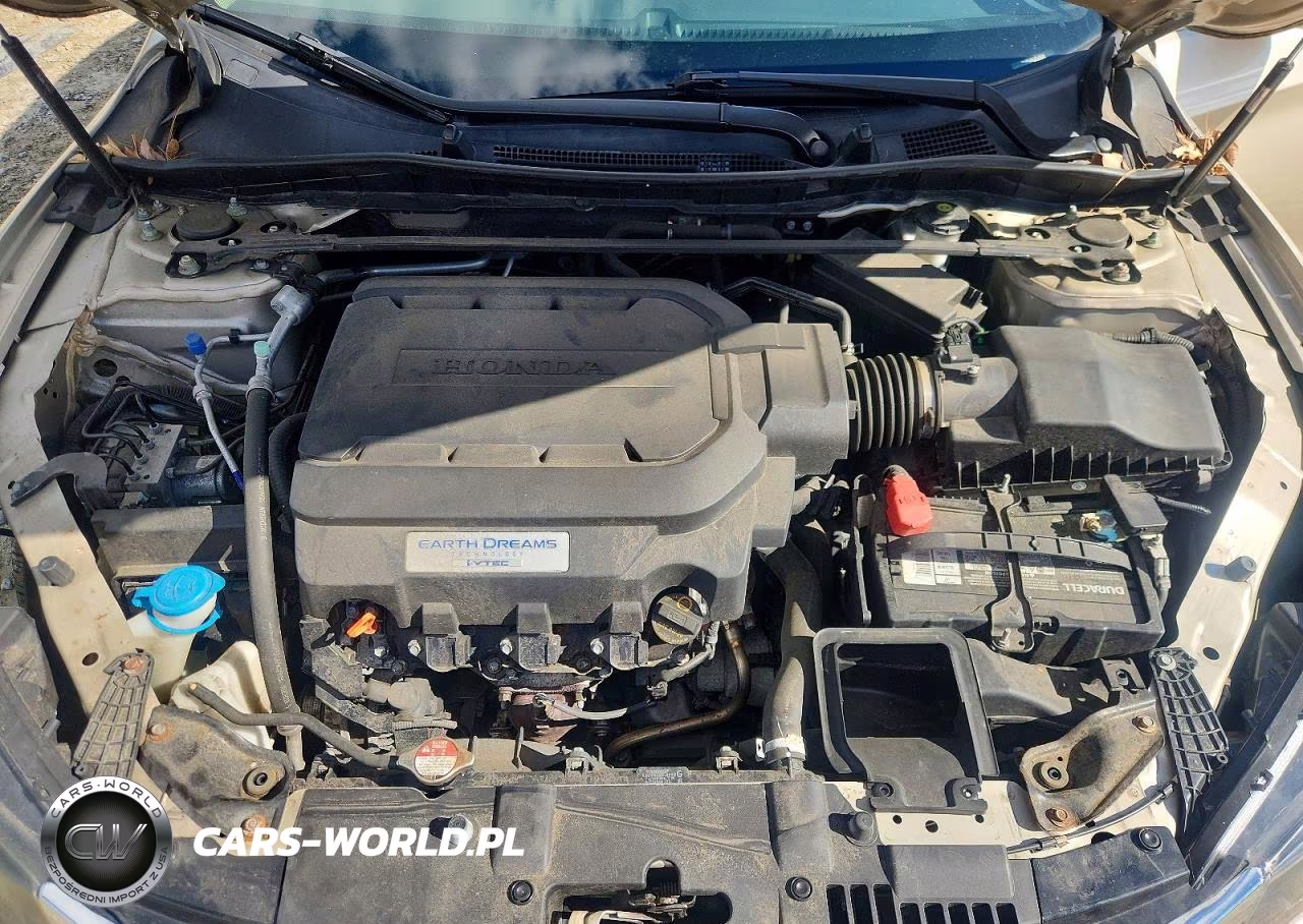 2014 Honda Accord Exl VIN:1HGCR3F88EA026690 - 11