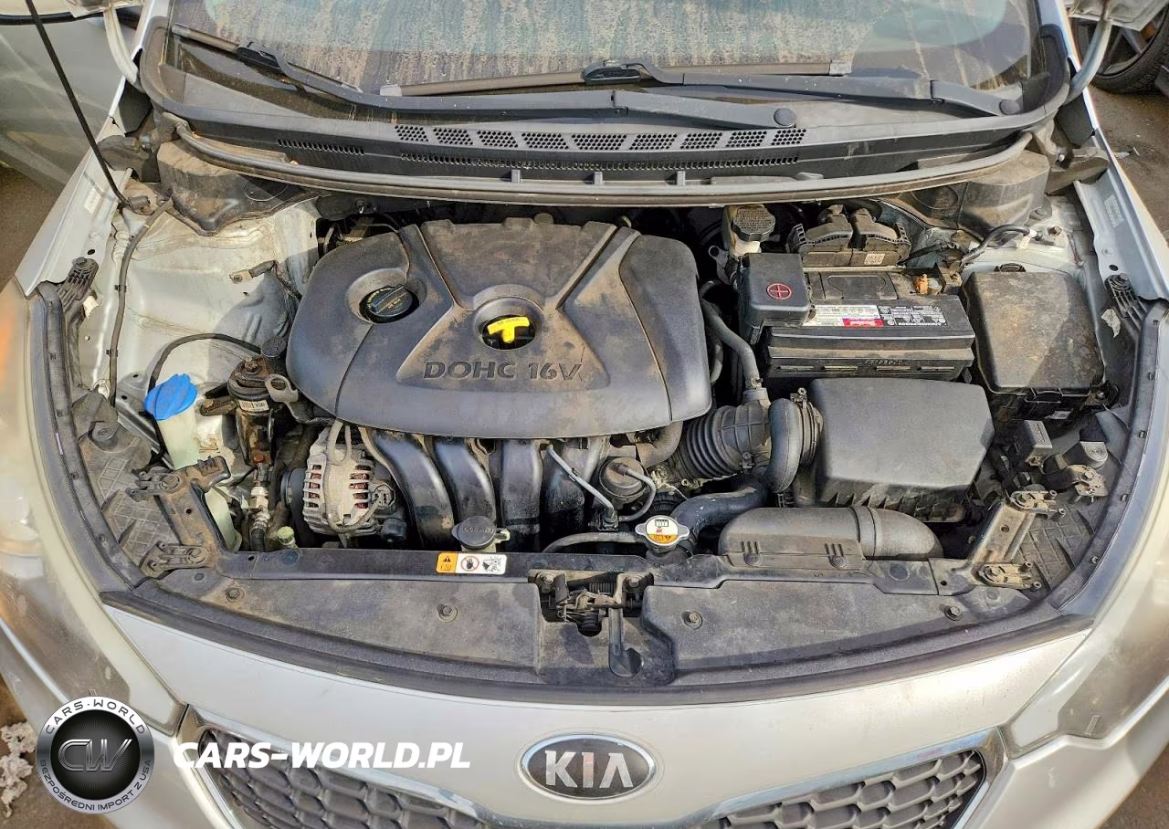 2014 Kia Forte Lx VIN:KNAFK4A6XE5187267 - 11