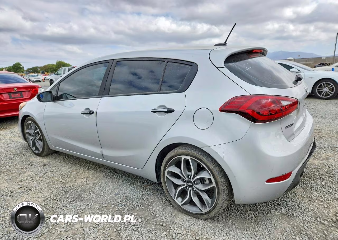 2016 Kia Forte VIN:KNAFZ5A37G5634891 - 2