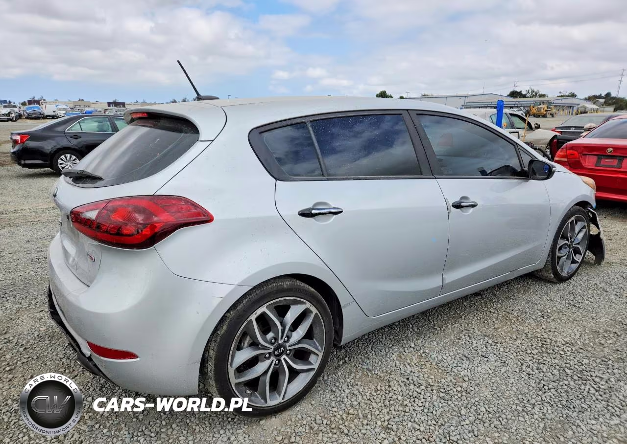 2016 Kia Forte VIN:KNAFZ5A37G5634891 - 3