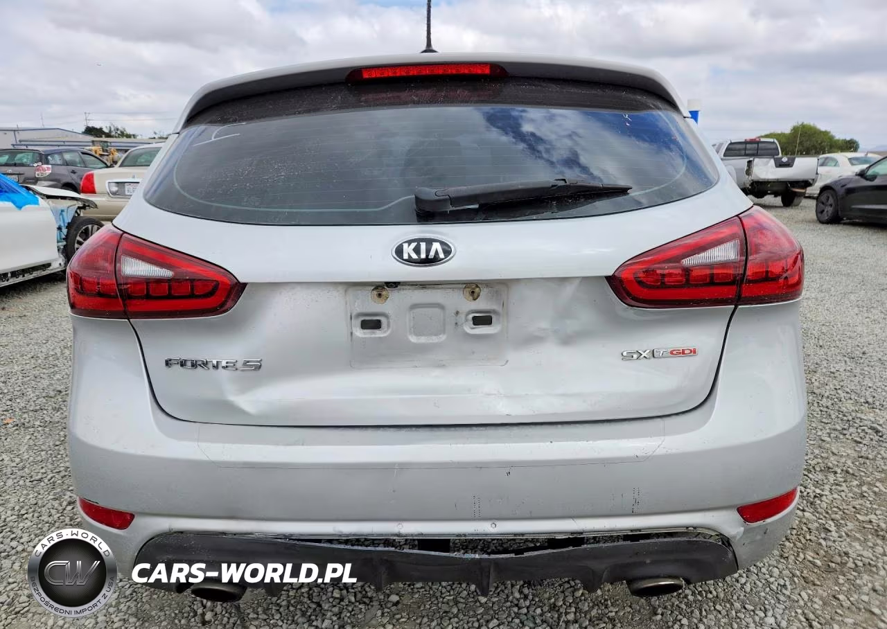 2016 Kia Forte VIN:KNAFZ5A37G5634891 - 6