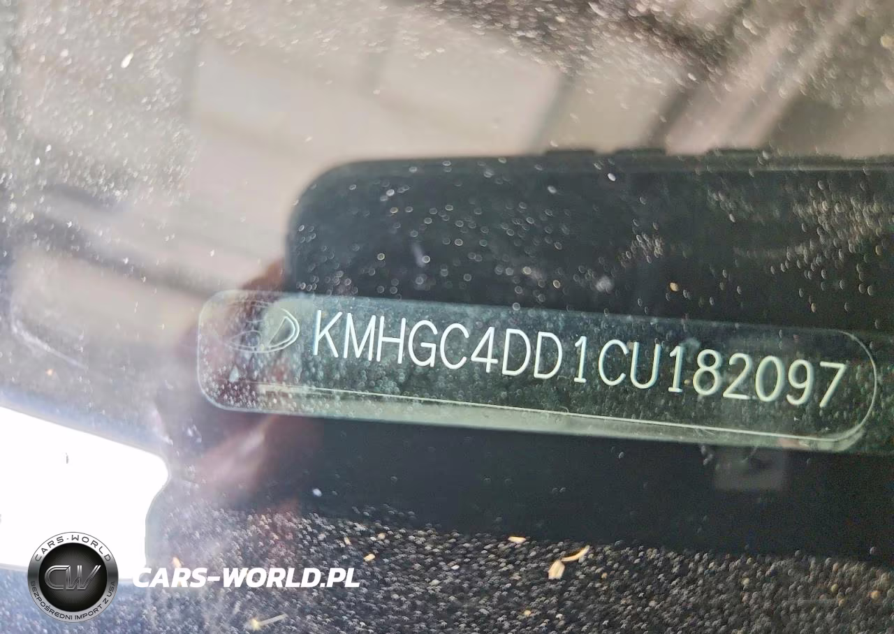 2012 Hyundai Genesis 3.8L VIN:KMHGC4DD1CU182097 - 12