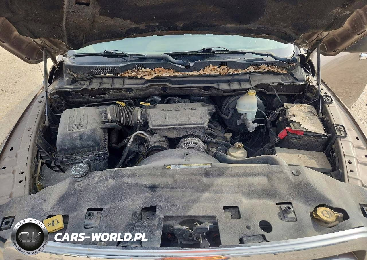 2009 Dodge Ram 1500 VIN:1D3HB13P39S772397 - 11