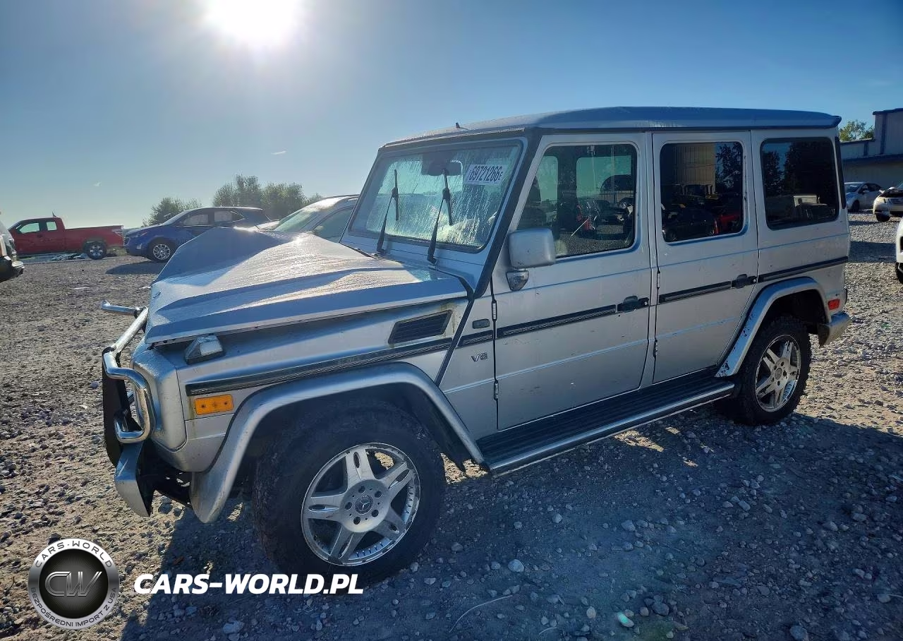 2002 Mercedes-Benz G 500 VIN:WDCYR49E02X129276 - 1