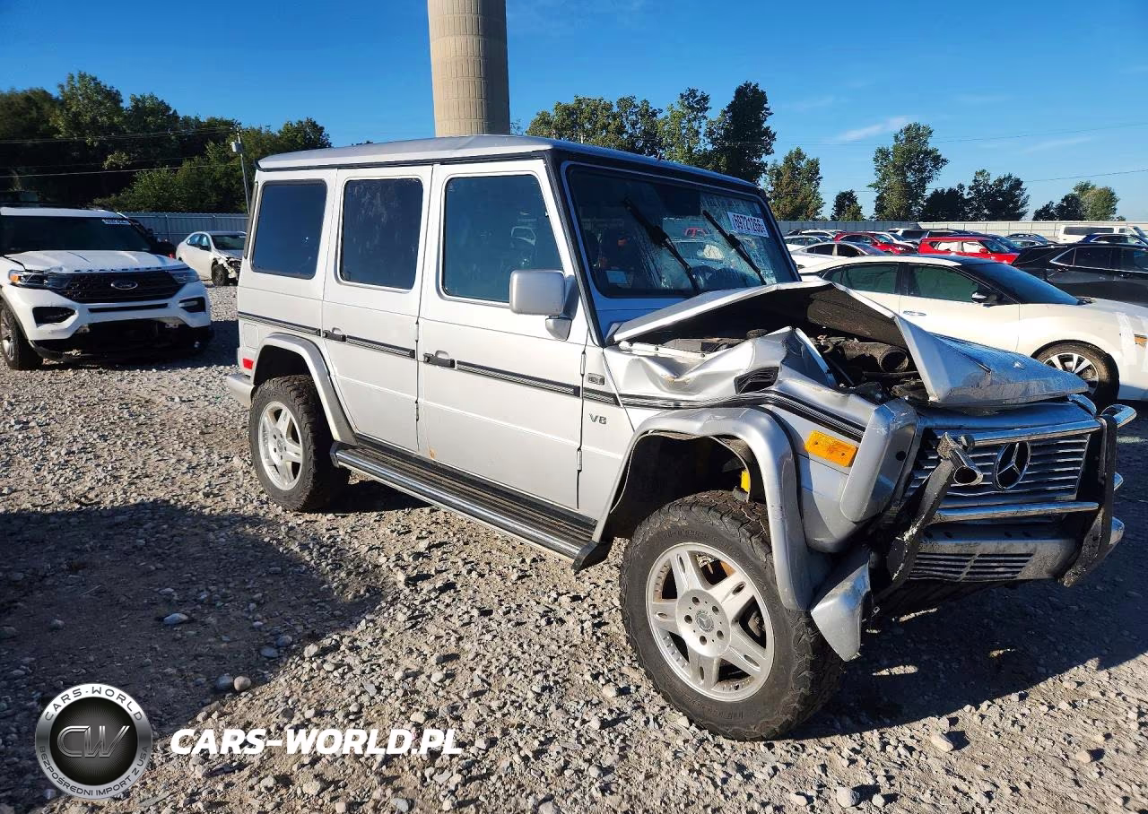 2002 Mercedes-Benz G 500 VIN:WDCYR49E02X129276 - 4