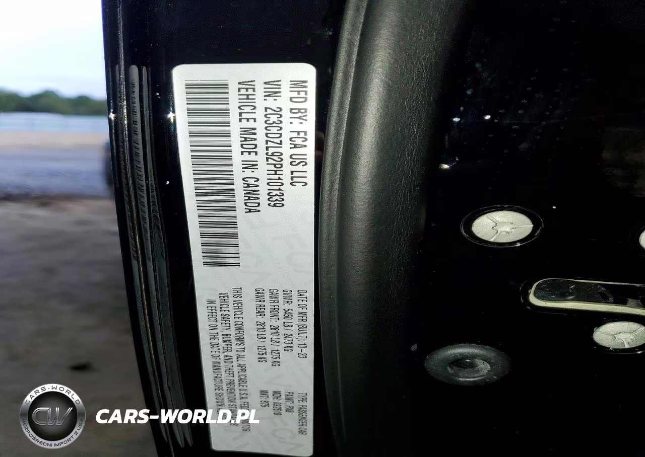 2023 Dodge Challenger Srt Hellcat Redeye VIN:2C3CDZL92PH101339 - 12