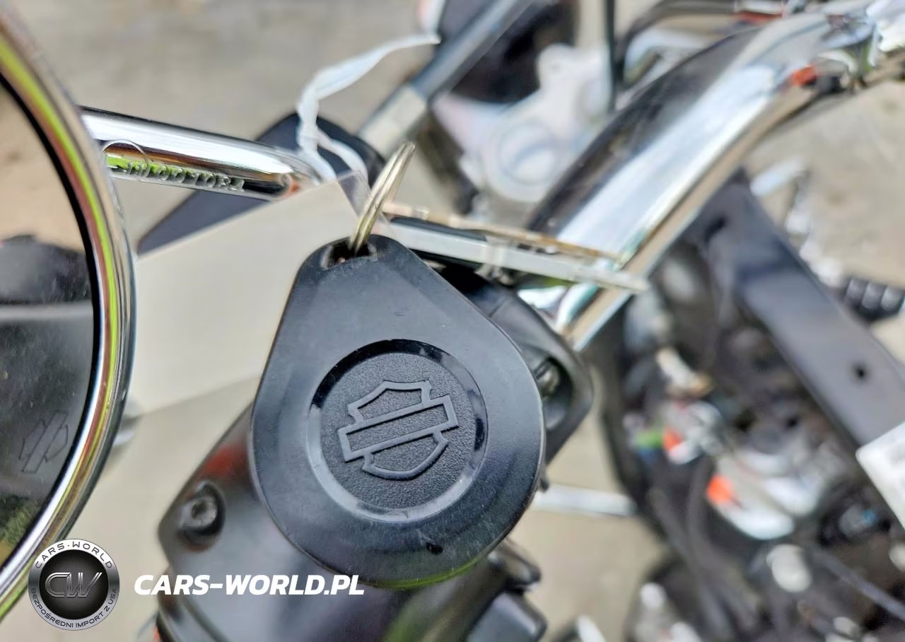 2019 Harley-Davidson Fxlr VIN:1HD1YNJ2XKB036469 - 8