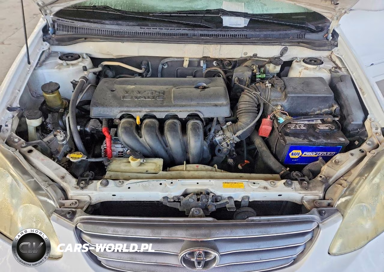 2003 Toyota Corolla Le VIN:1NXBR32E53Z130082 - 11