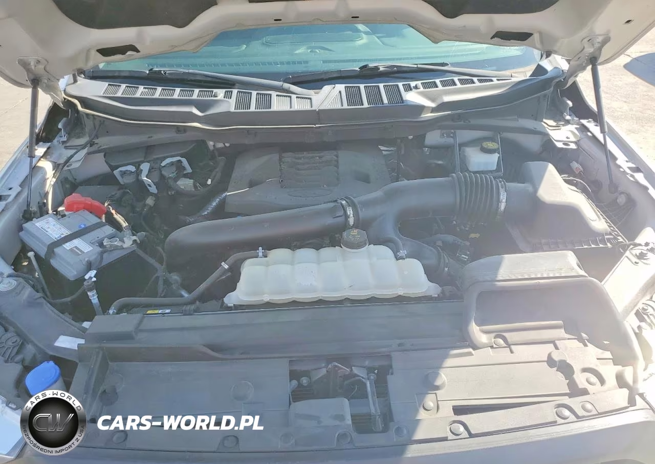2022 Ford F150 Supercrew VIN:1FTEW1C86NKE61372 - 11