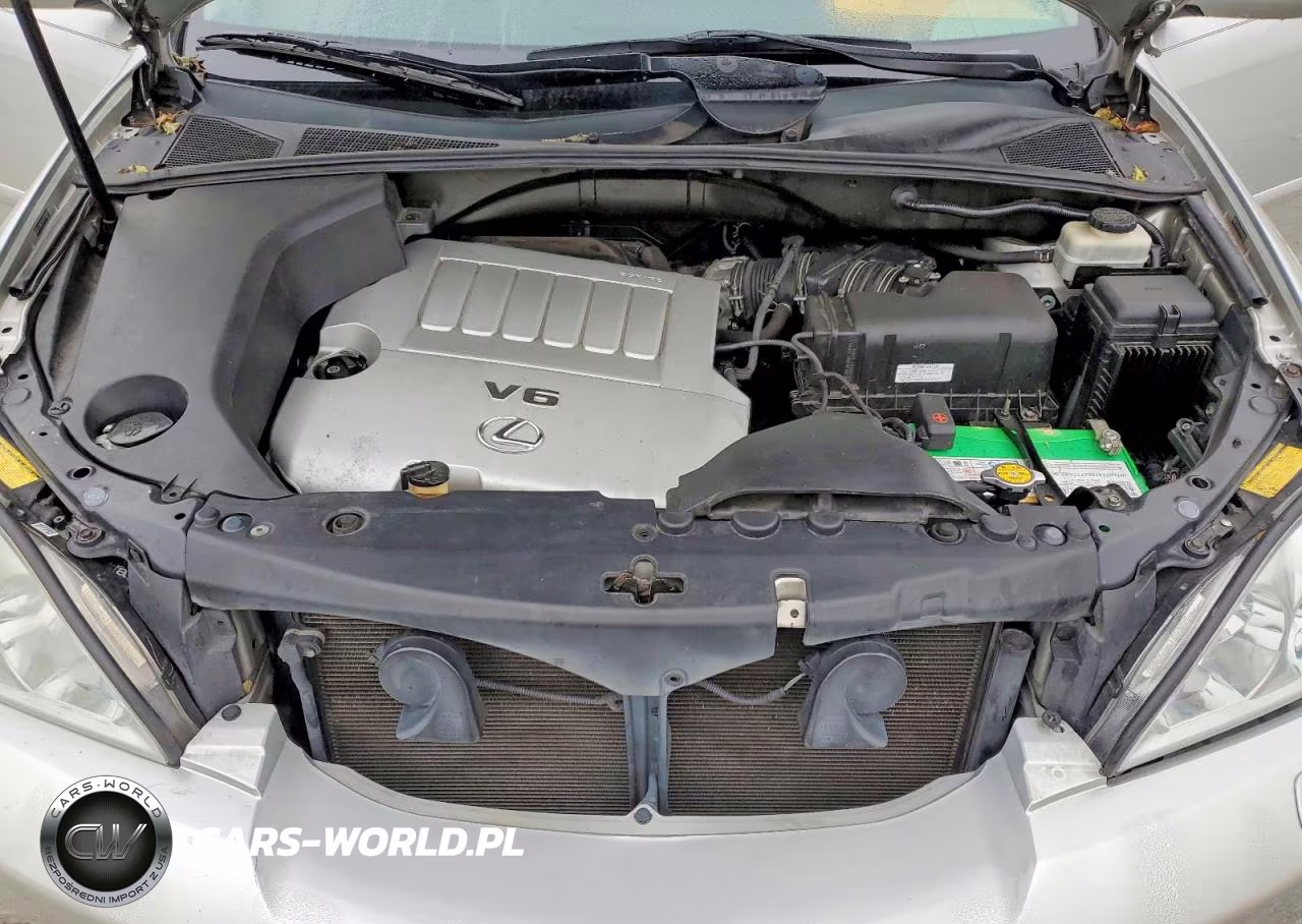 2007 Lexus Rx 350 VIN:2T2HK31U87C028267 - 12