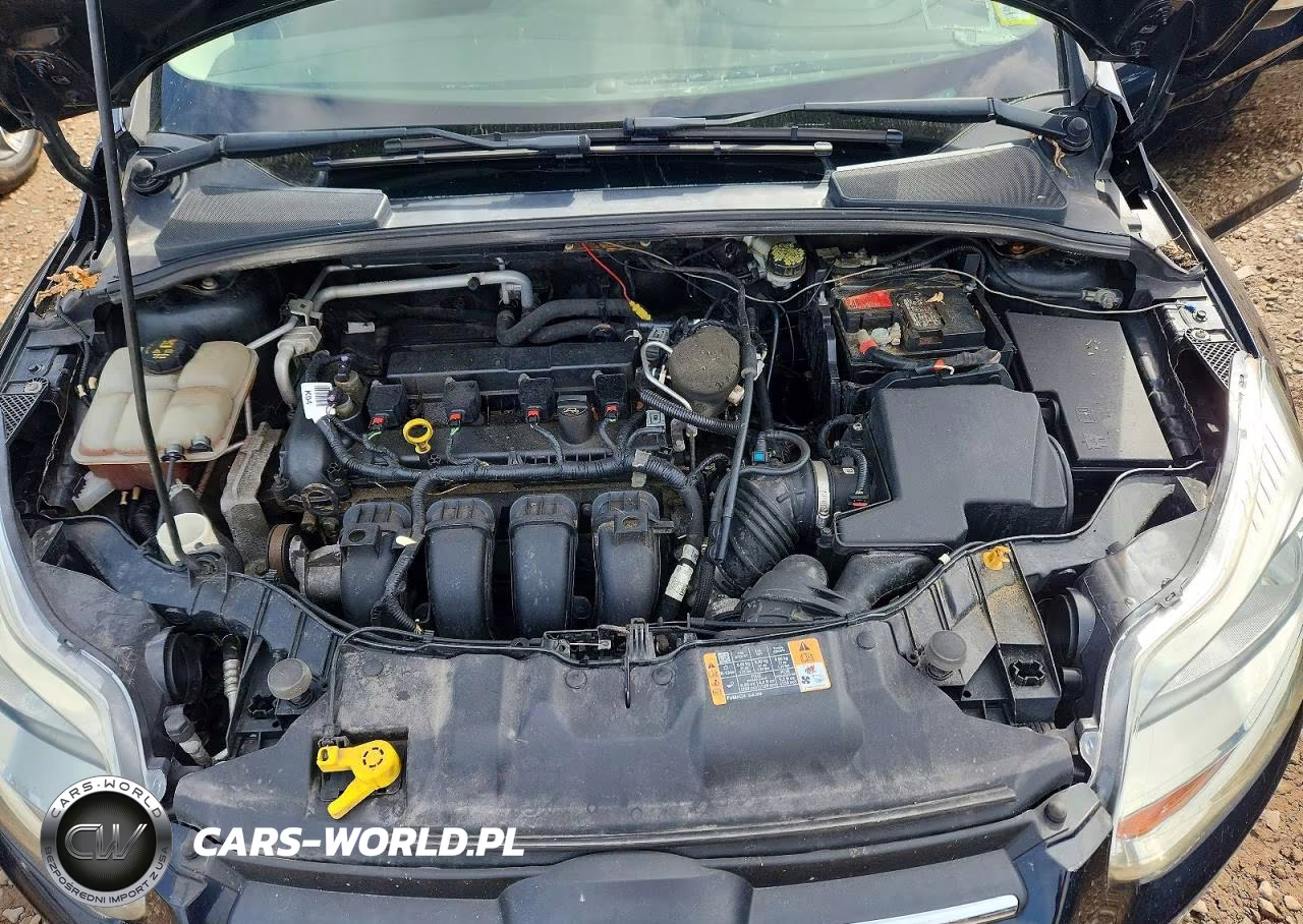 2014 Ford Focus Se VIN:1FADP3K29EL455115 - 11