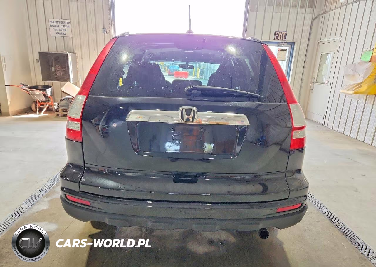 2010 Honda Cr-V Exl VIN:5J6RE4H78AL031301 - 6
