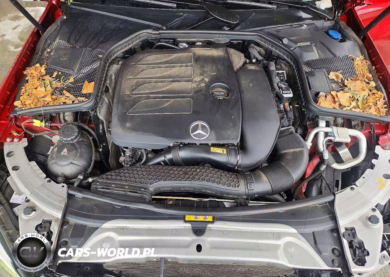 2020 Mercedes-Benz C 300 VIN:WDDWF8DB1LR547853 - 11