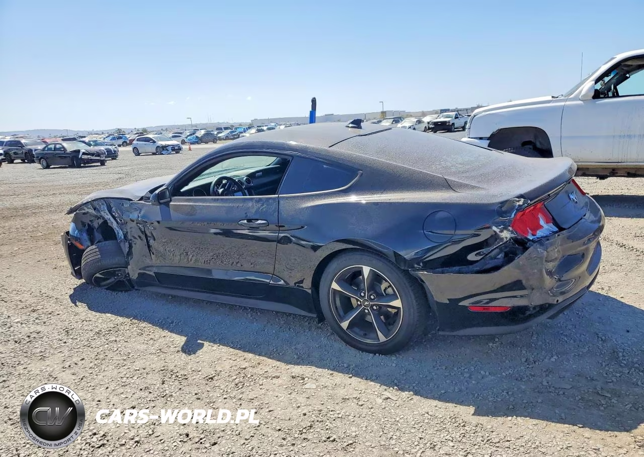 2021 Ford Mustang VIN:1FA6P8TH9M5117628 - 2