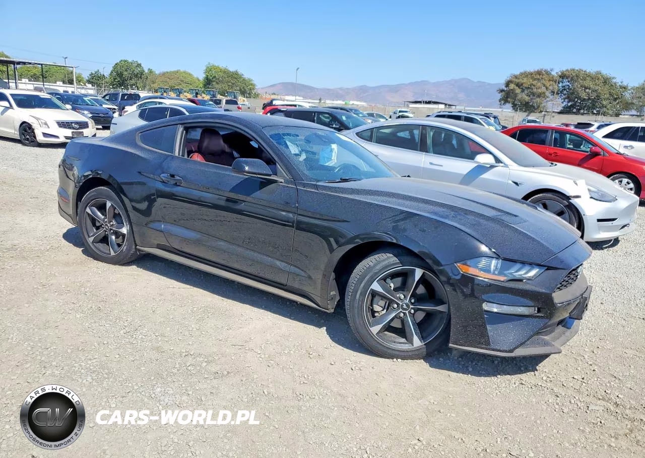 2021 Ford Mustang VIN:1FA6P8TH9M5117628 - 4