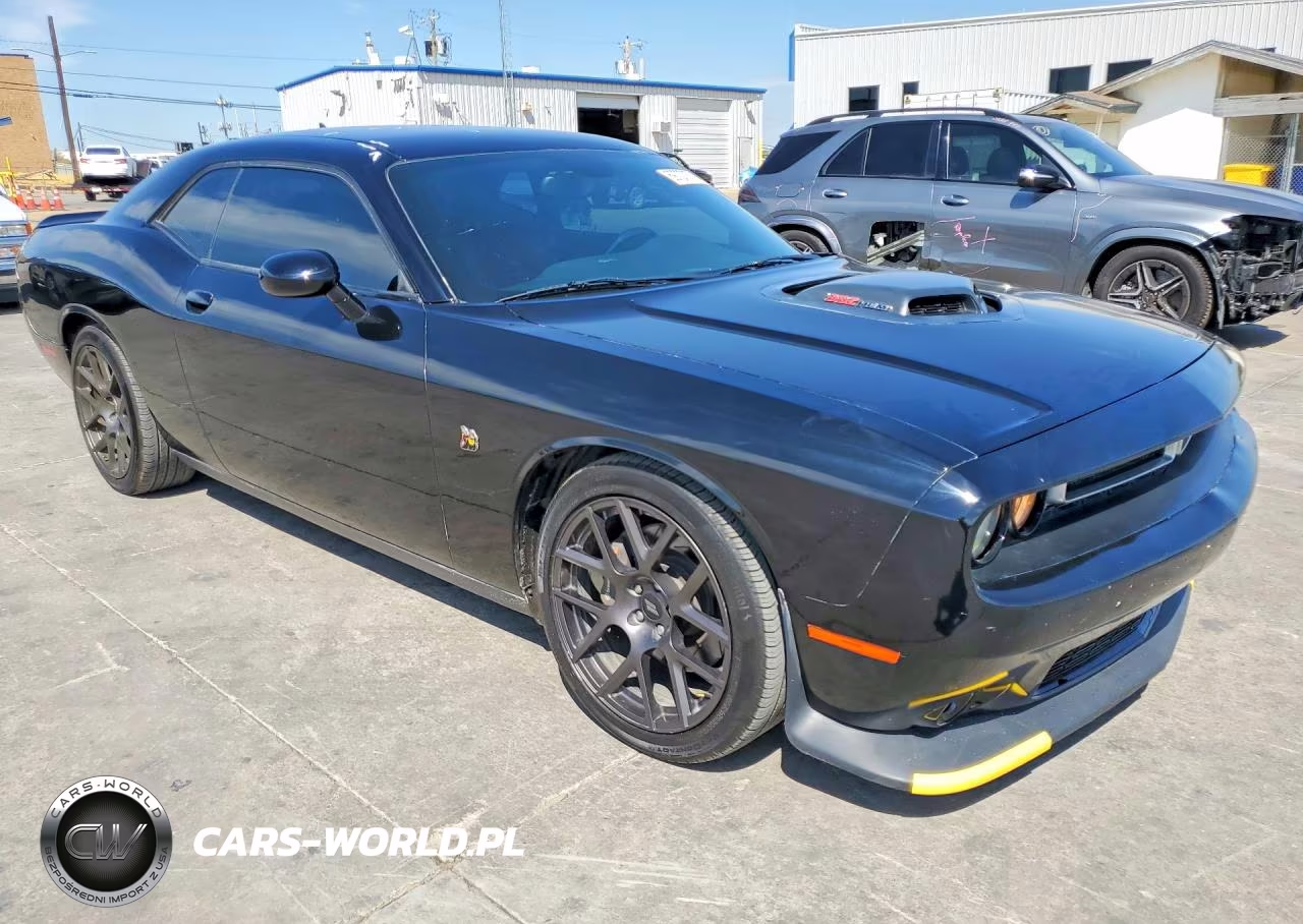 2016 Dodge Challenger R VIN:2C3CDZFJ0GH240455 - 4
