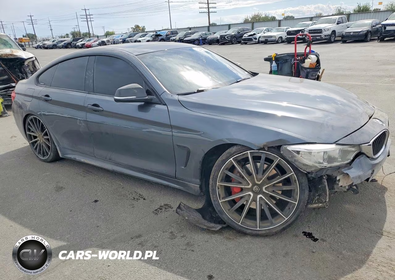 2015 BMW 435 I Gran Coupe VIN:WBA4B1C51FD418073 - 4