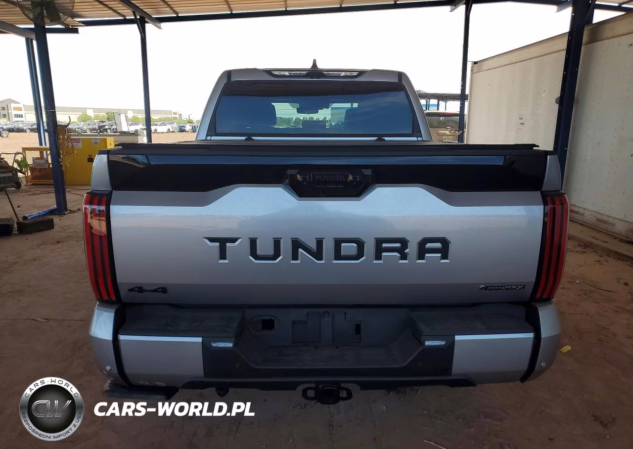 2025 Toyota Tundra Platinum Hv VIN:5TFNC5DBXSX103295 - 6
