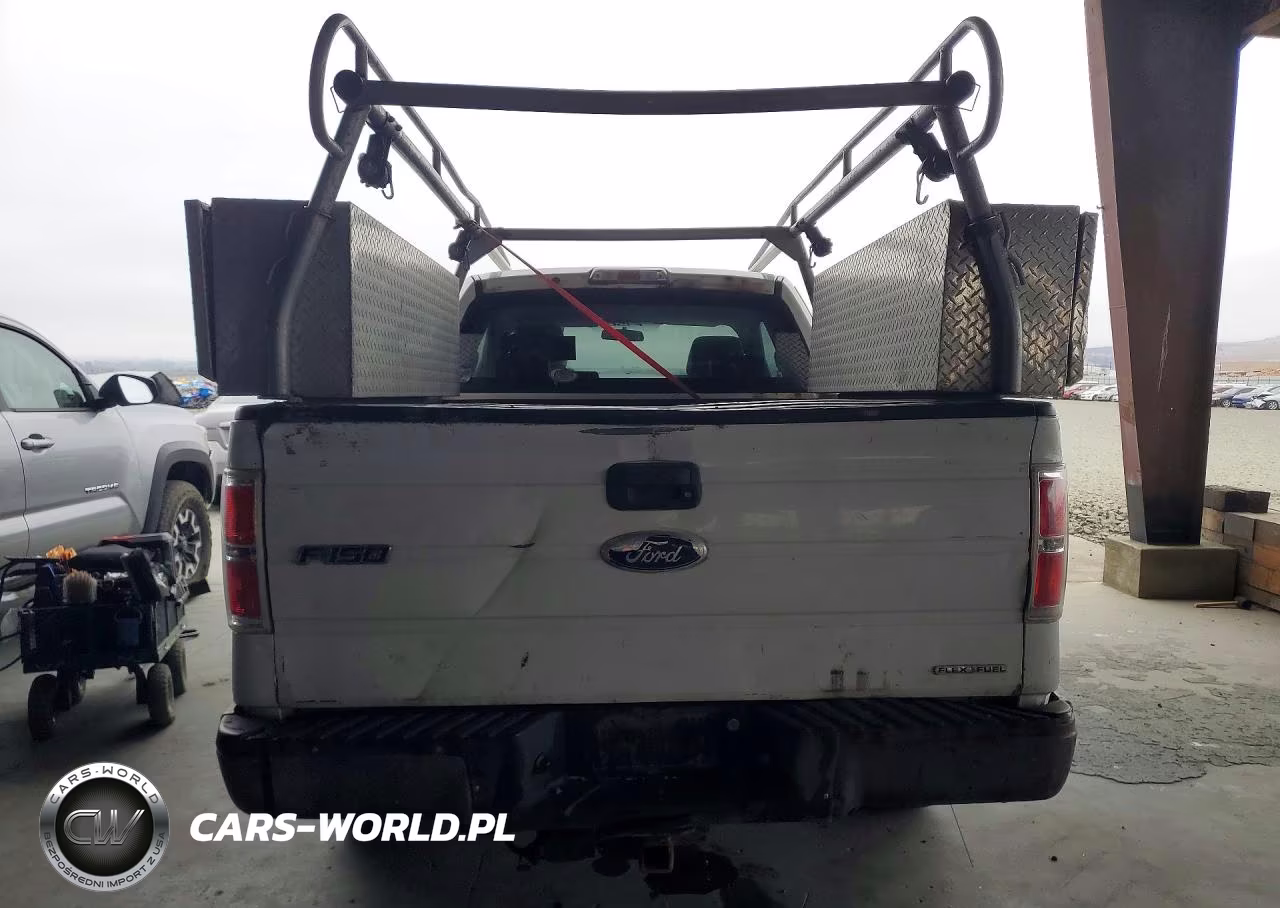 2009 Ford F150 Super Cab VIN:1FTRX12WX9KB73567 - 6