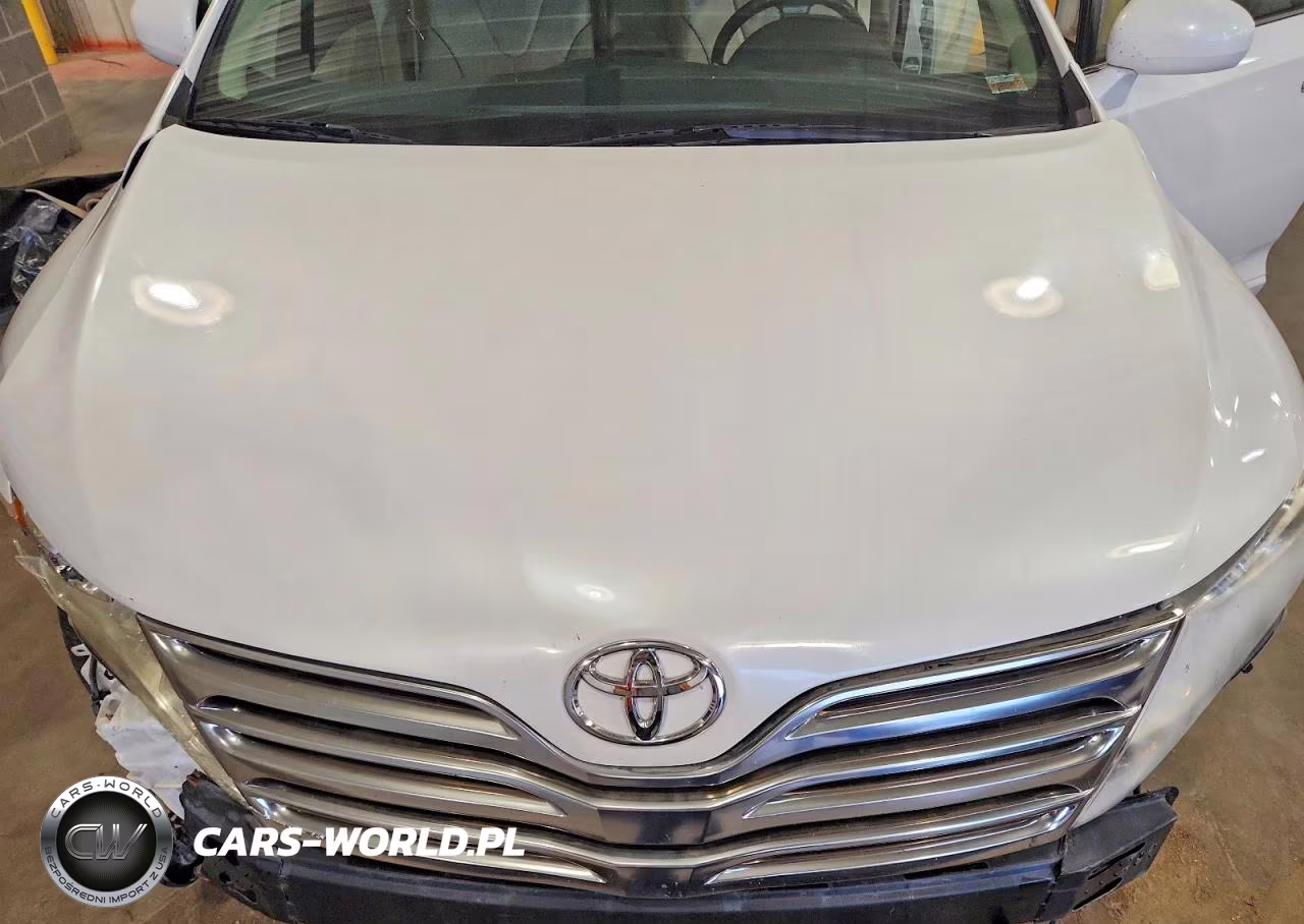 2009 Toyota Venza Awd V6 VIN:4T3BK11A79U014132 - 12